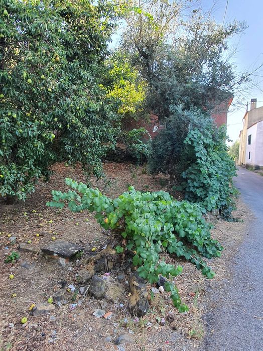 Vendo Casa em Pucariço - Proença-a-Nova, Distrito de Castelo Branco