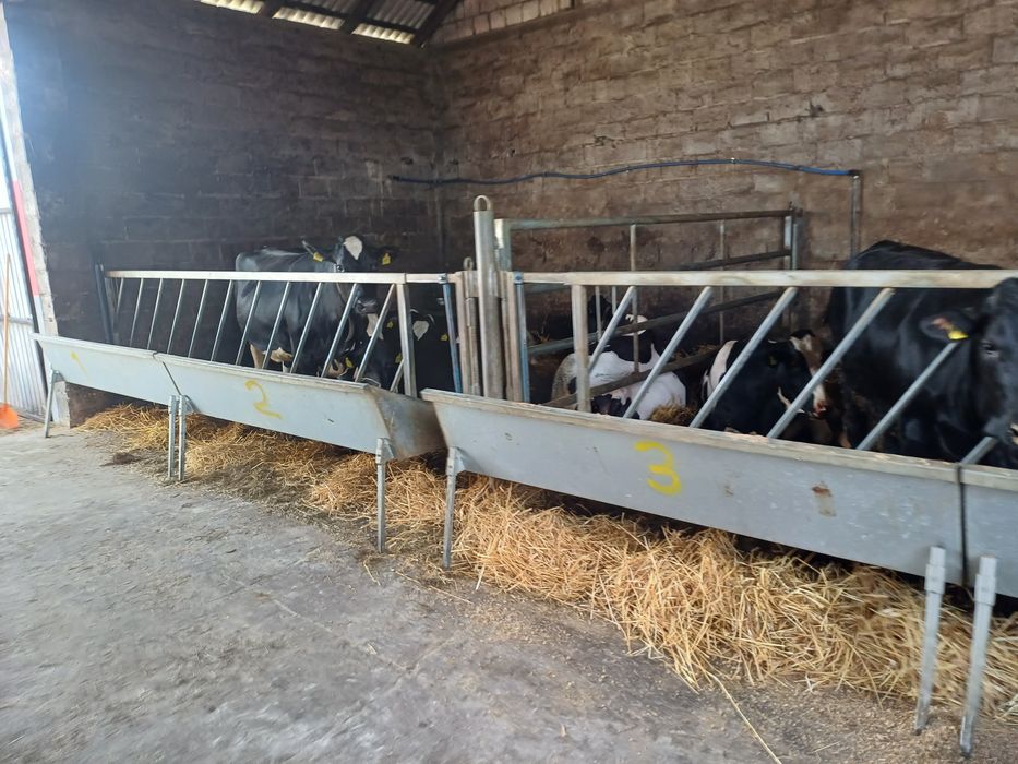 Wygrodzenia przegrody dla bydła