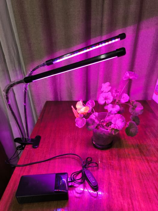 Фитолампа полного спектра для растений с таймером 2 головы питание от