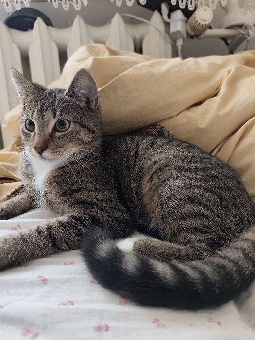 Maluchy czekają na domy