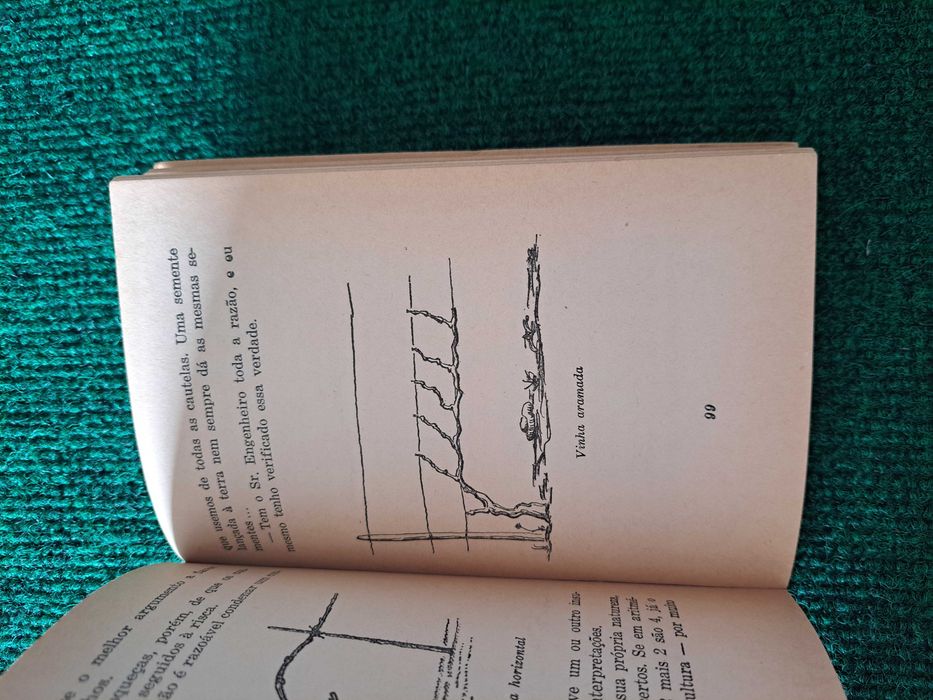 A Vinha - Alfredo Baptista