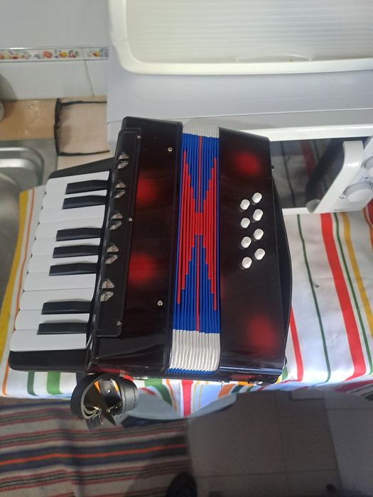 Acordeon criança