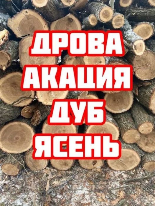 Дрова АКАЦІЯ, ДУБ, ЯСЕН. Напряму с ділянок. 5/7/10/16.5 ск/м