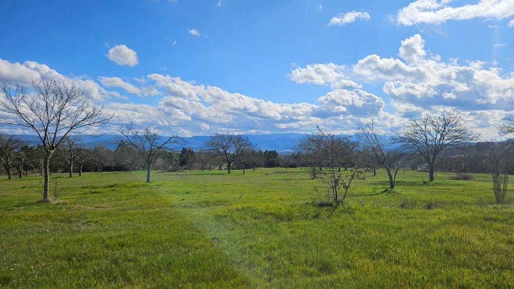 Terreno Frechão 2.2ha
