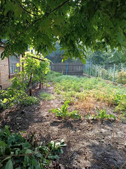 Продаж добротного будинку 60 кв 6 сот. Вул Комарова