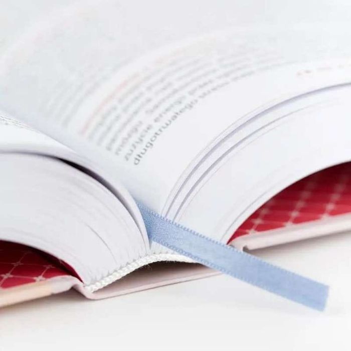 Mamy dla Mamy i Taty tom II (Rodzicielstwo) jak to się teraz robi