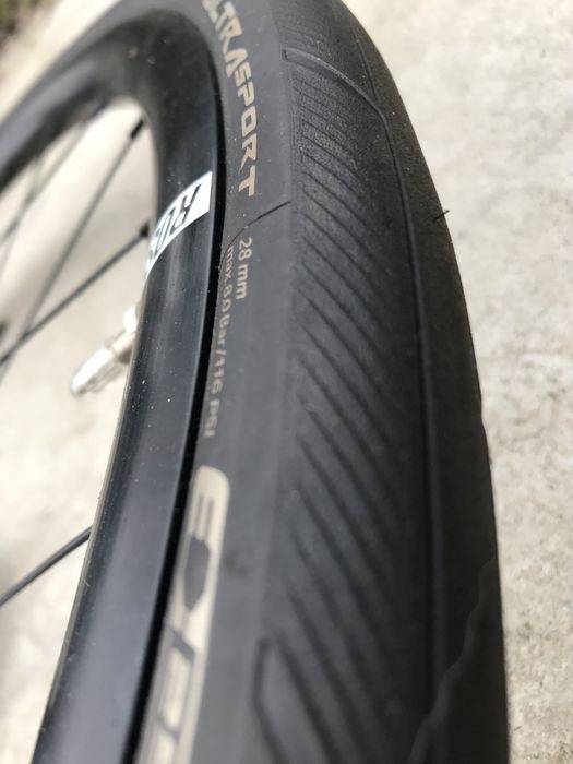 Kolo rose twenty five