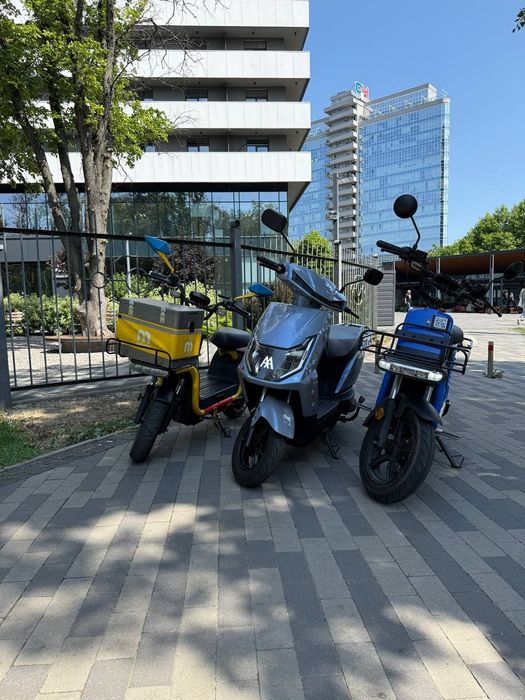 Аренда электроскутера