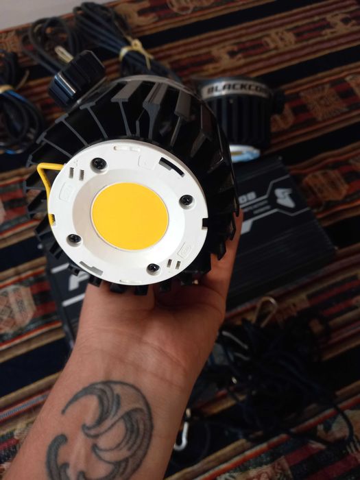 Iluminação cultivo Led Black cob