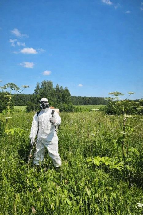 Обробка квартири від тарганів клопів бліх | Безпечна дезінфекція