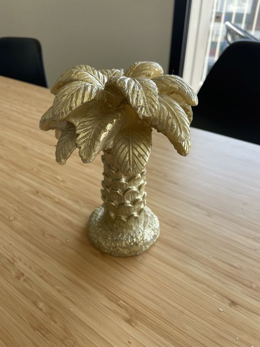 Vela - palmeira dourada