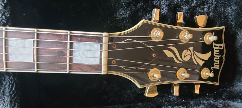 Burny RLC 100 Japan (Custom)