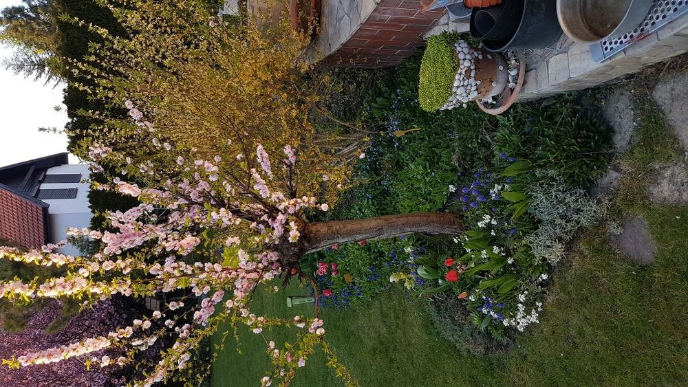 Projekt ogrodu przydomowego 1000m