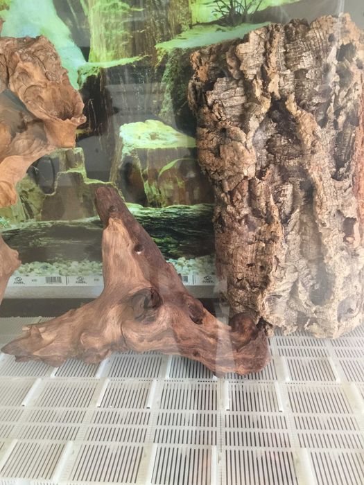 Aquario, Juwel vision 260