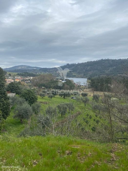 Vende Quinta com 5 hectares junto ao rio dão