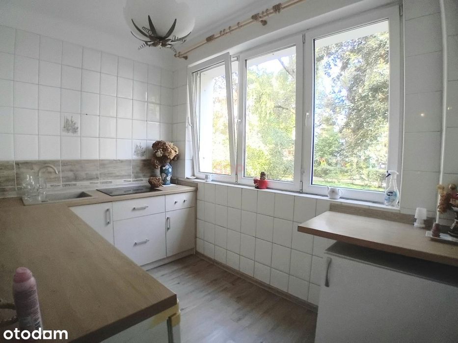 2 pokoje | Saska Kępa | Zielona okolica - Widok 3