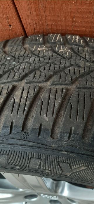 Ризина зима на дисках