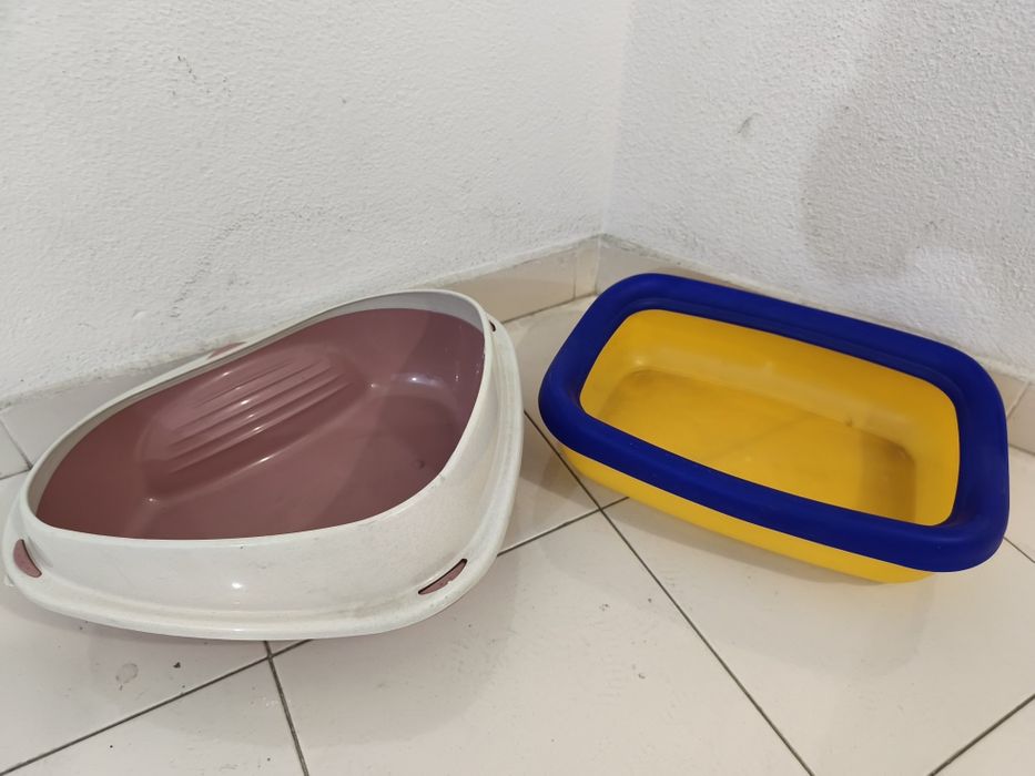 Casa de banho gatinhos