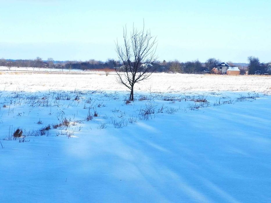 Продам земельну ділянку під житлову забудову в с.Писарівка 5180