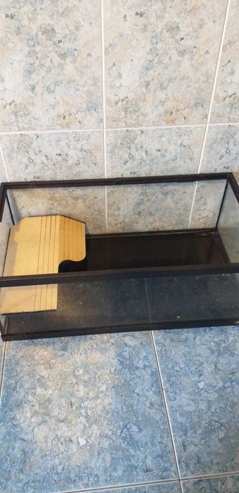 Aquário médio com prancha