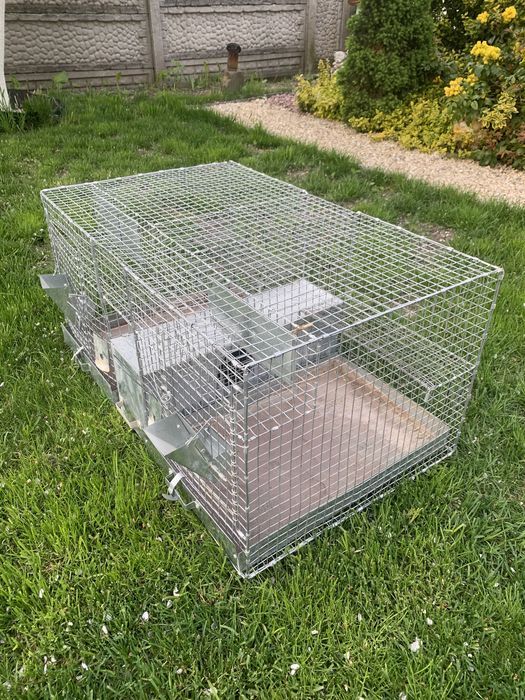 Клітки для шиншил (гризунів)