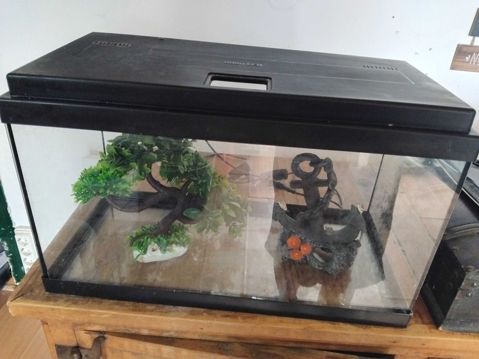 Aquário de água quente com bomba e filtro