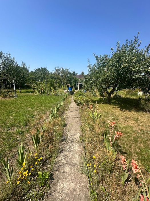 Sprzedam ogródek działkowy 450 m2 w Ogrodach Działkowych ,,Kwitnąca Dolina"