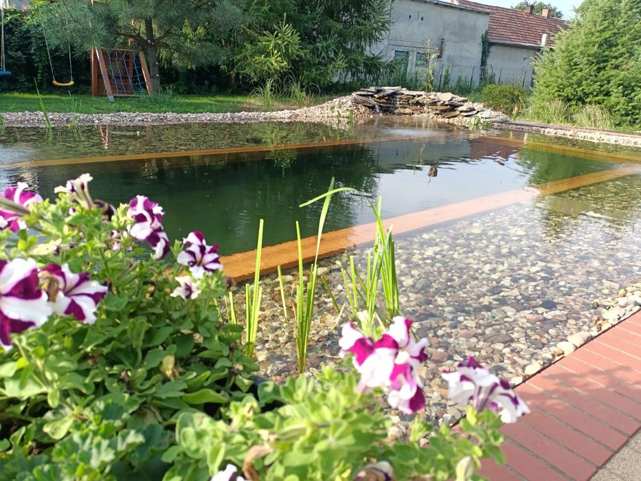 Glony w oczku wodnym, preparat do walki z glonami Algo Split 5 kg