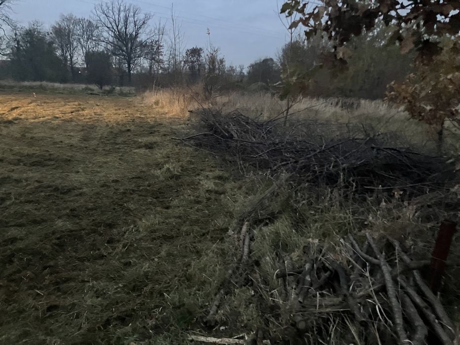 Usługi mulczowanie glebogryzarka wycinka drzew wyrywanie korzeni