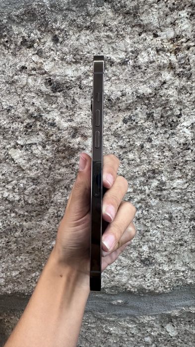 iPhone 12 Pro Max 256Gb Usado