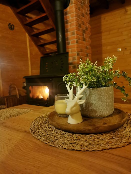 Domki w sam las. Domek Bory Tucholskie nad jeziorem