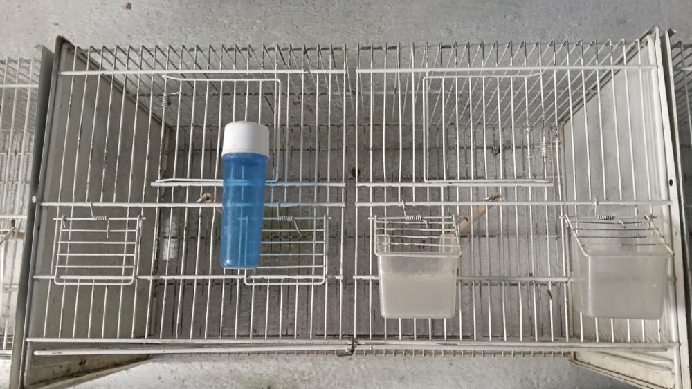 Gaiolas disponíveis