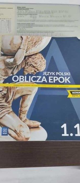 Język polski . oblicza epoky nowa edycja 1.1 Wsip.
