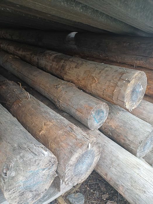 Бродам брус 100х100 2.5 м також кругляк 200-150 мм діаметр 4 метровий