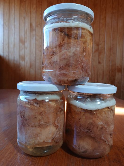 Свиная тушёнка домашняя