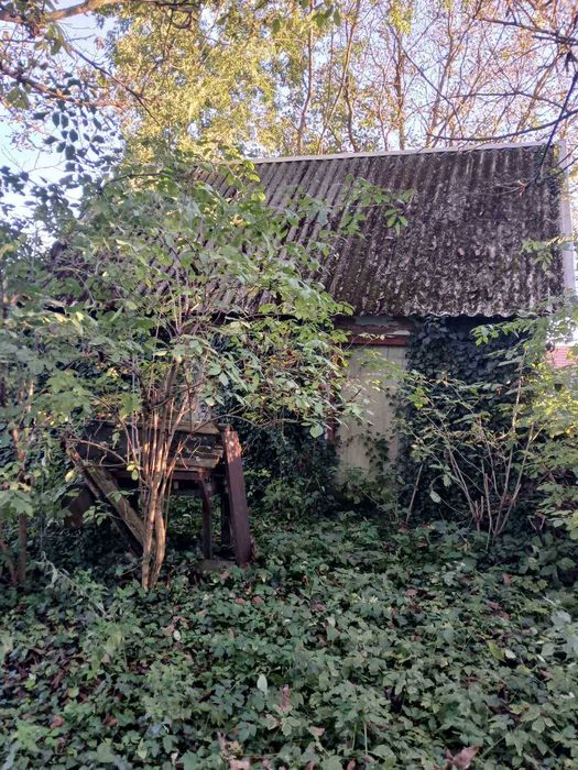 Земельна ділянка з будинком і літньою кухнею