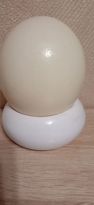 Яйцо Страусиное. Скарлупа.