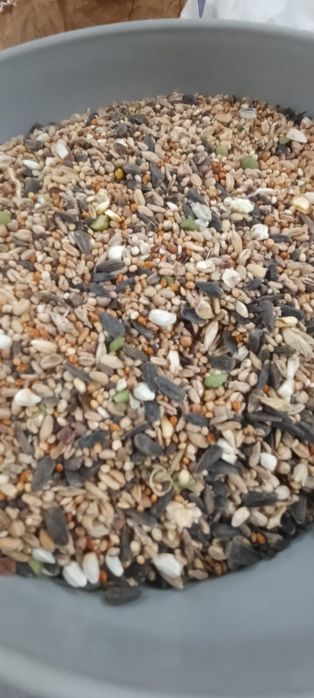 Mix ziaren 25 kg super cena papuga kura bażant gołąb