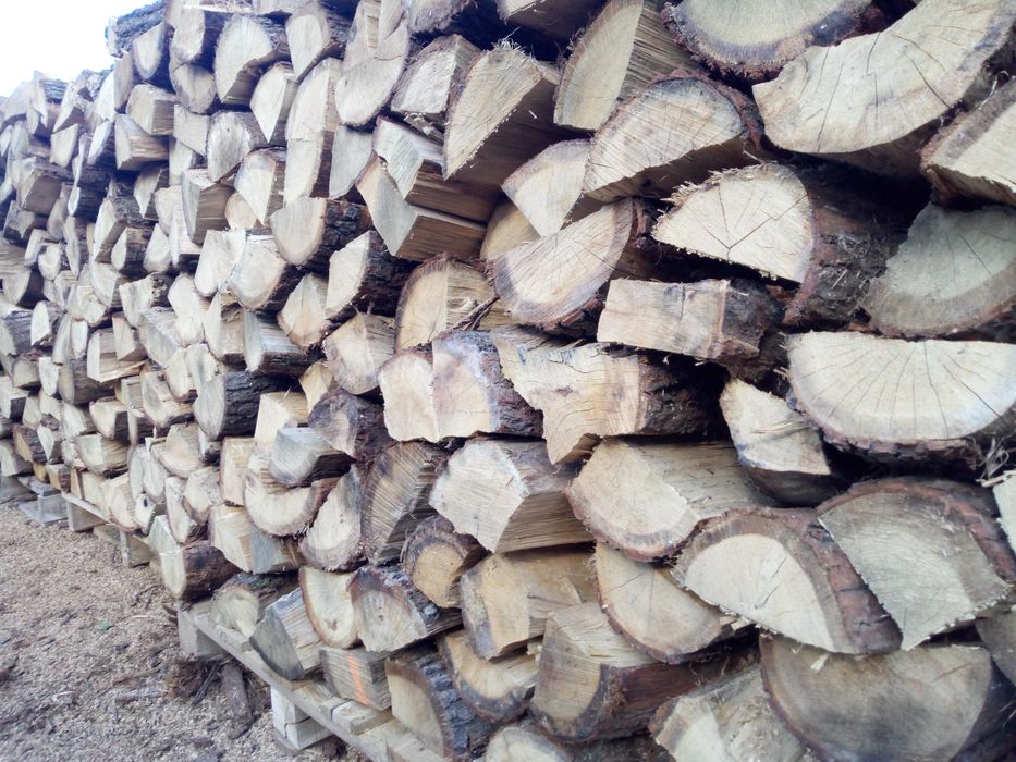 Drewno kominkowe DĄB dębowe opałowe