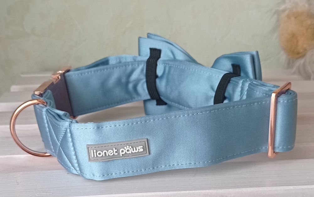 Нашийник для собаки lionet paws , розмір L