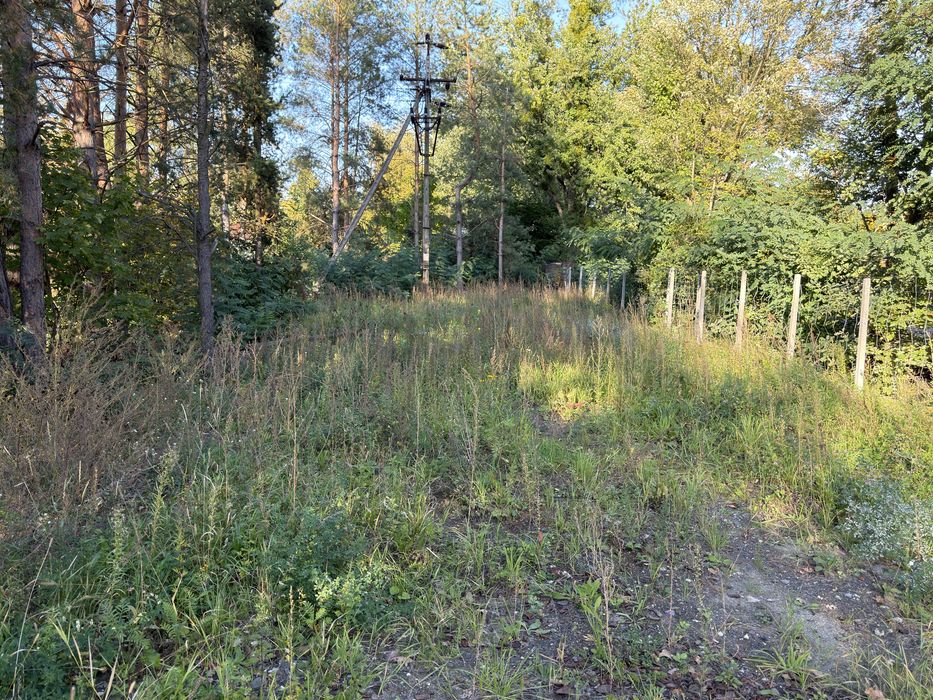 Dzialka 1666m2  w miejscowości Korytów A Żyrardów