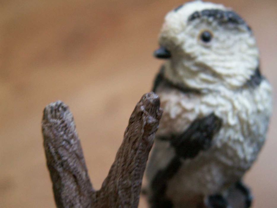 Ptaki - Raniuszek -The Country Bird Collection - Vogelwelt Collection
