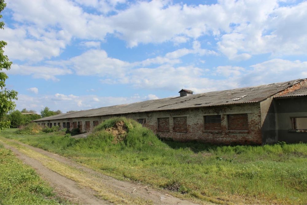 Сарай-коровник. - View 2
