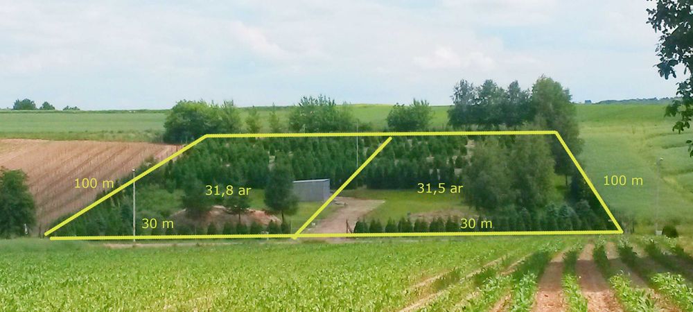 Piękna działka siedliskowa pod zabudowę - Widok 3