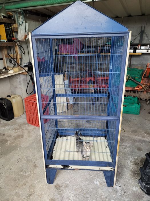 Gaiola para pássaros