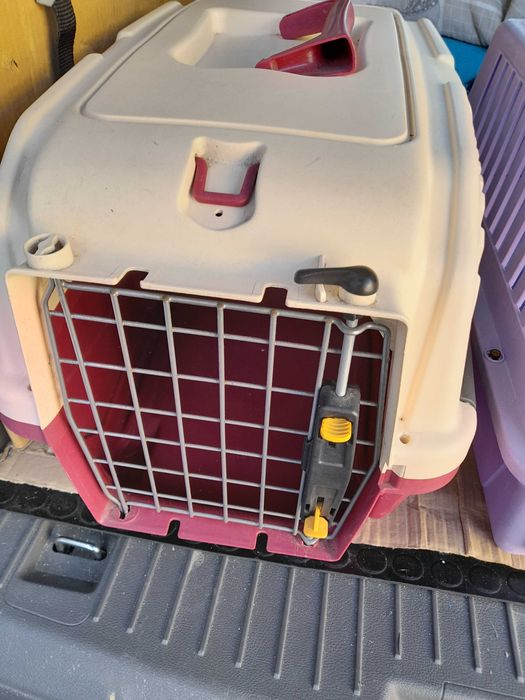 Transportadoras de gato