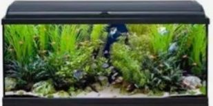 Aquarios para peixes