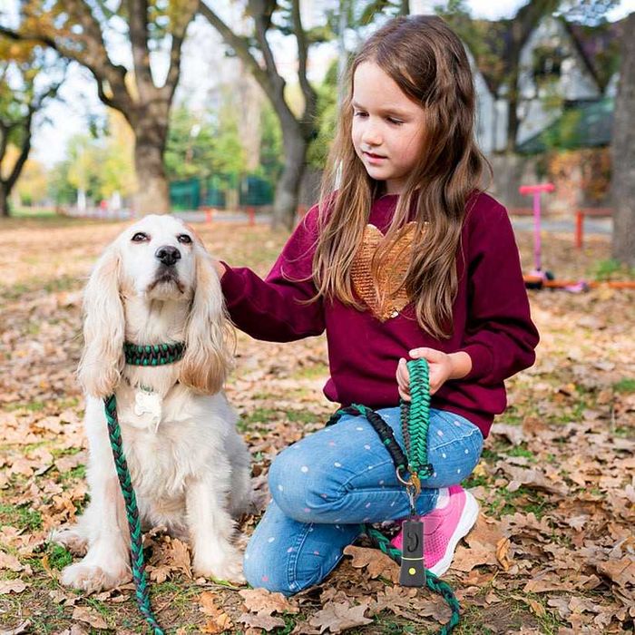 NOVO - Dispensador para sacos de dejectos com lanterna