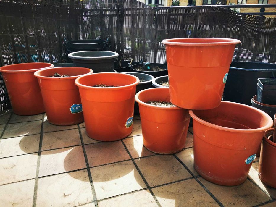 Vasos de plantas todos os tamanhos