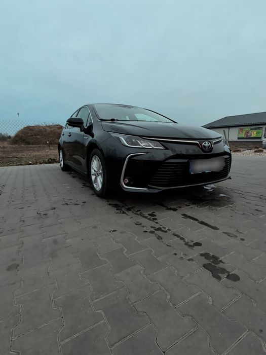 Wynajem wypożyczalnia aut samochodów